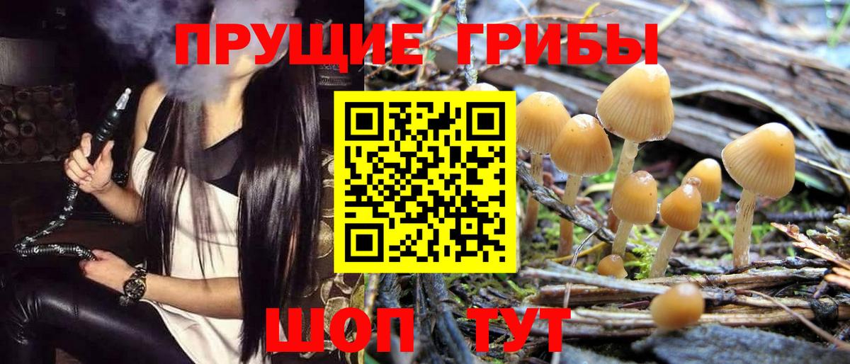 Сегежа  Псилоцибиновые грибы мицелий  купить наркотик  Псилоцибиновые грибы мухоморы  Вход с VPN 