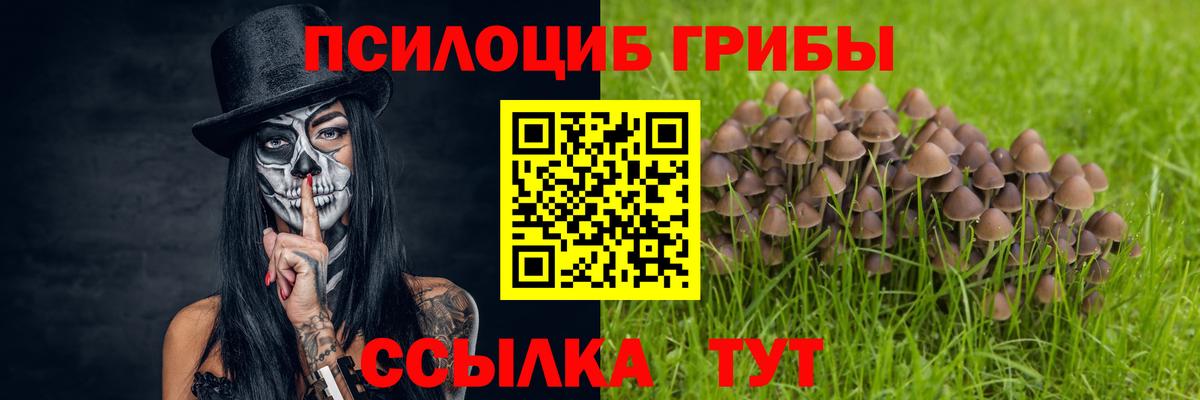 Псилоцибиновые грибы GOLDEN TEACHER Сегежа